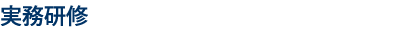 実務研修
